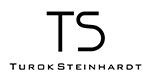 Turok Steinhardt