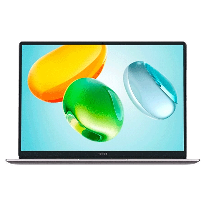 Ноутбук Honor MagicBook X14 2026 (5301AQWG)