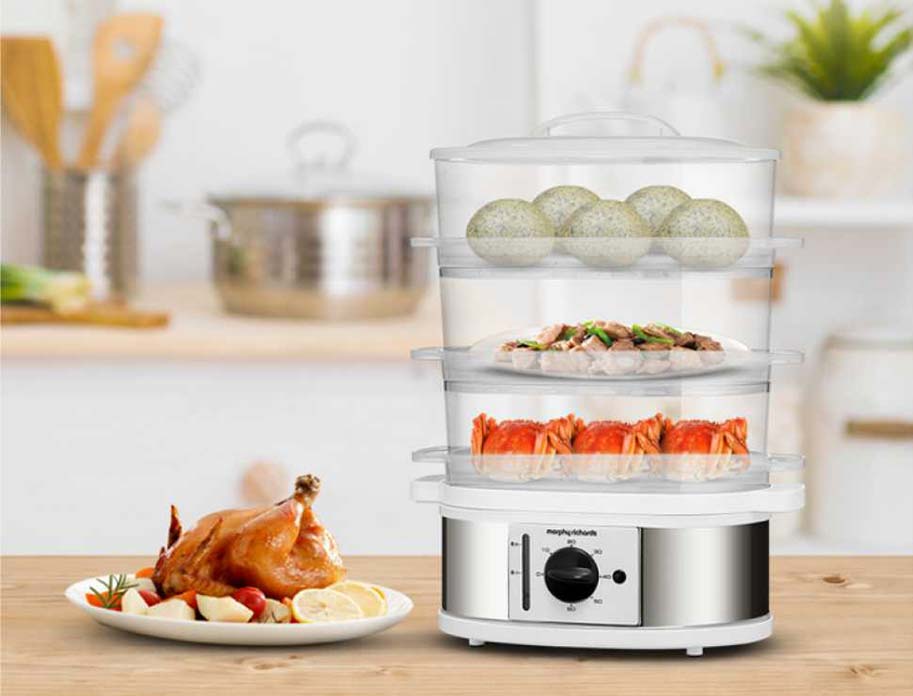 Xiaomi Morphy Richards Electric Steamer