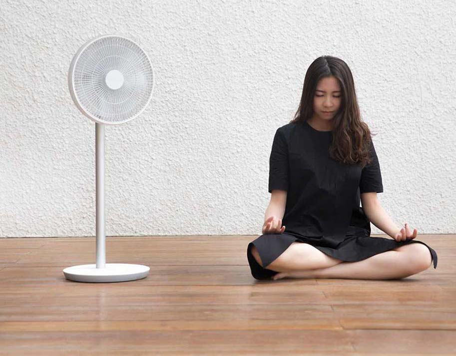 Xiaomi Zhimi Smart DC Inverter Fan