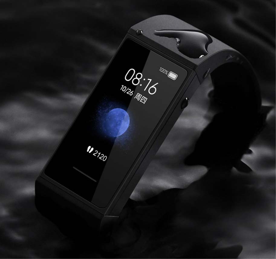Xiaomi Redmi Band