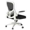 Кресло компьютерное Xiaomi HBADA Ergonomic Double-waisted Waist Computer Chair (белое)