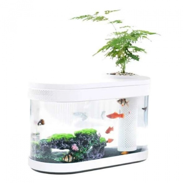 Аква-ферма Xiaomi Lucky Amphibious Geometry Fish Tank