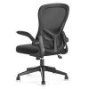 Кресло компьютерное Xiaomi HBADA Ergonomic Double-waisted Waist Computer Chair (чёрное)