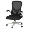 Кресло компьютерное Xiaomi HBADA Ergonomic Double-waisted Waist Computer Chair (белое)