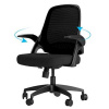 Кресло компьютерное Xiaomi HBADA Ergonomic Double-waisted Waist Computer Chair (чёрное)