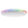 Светильник Xiaomi Yeelight Arwen Ceiling Light 450C