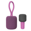 Набор для караоке Xiaomi UL Life iK8 Karaoke Speaker