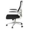 Кресло компьютерное Xiaomi HBADA Ergonomic Double-waisted Waist Computer Chair (белое)