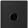 Электронный сейф со сканером отпечатка пальца Xiaomi CRMCR Cato Anno Iron Safe Box (черный)