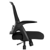 Кресло компьютерное Xiaomi HBADA Ergonomic Double-waisted Waist Computer Chair (чёрное)