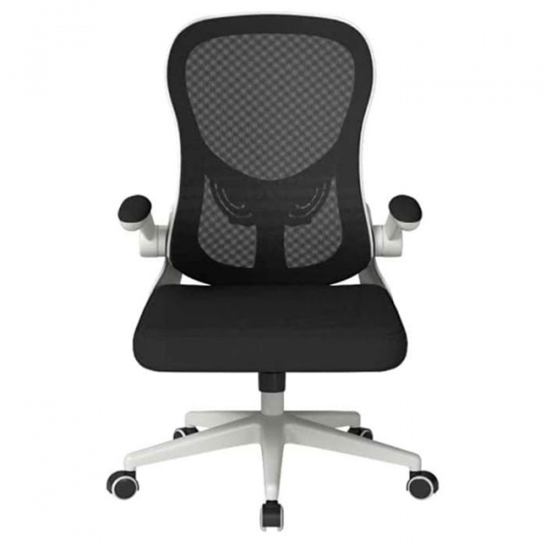 Кресло компьютерное Xiaomi HBADA Ergonomic Double-waisted Waist Computer Chair (белое)